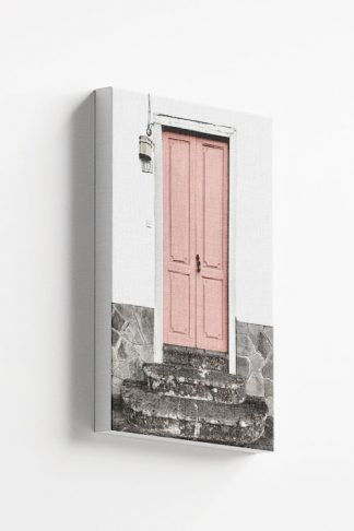 Pink door canvas