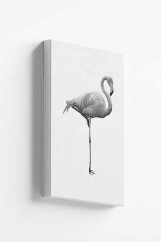 B&W Flamingo Canvas