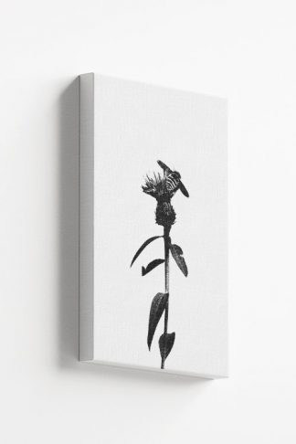 Bee on flower canvas