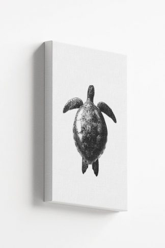 Turtle dive canvas