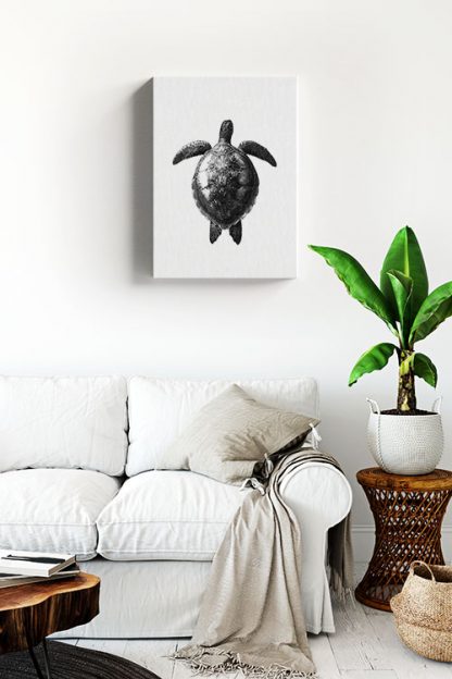 Turtle dive canvas in interior