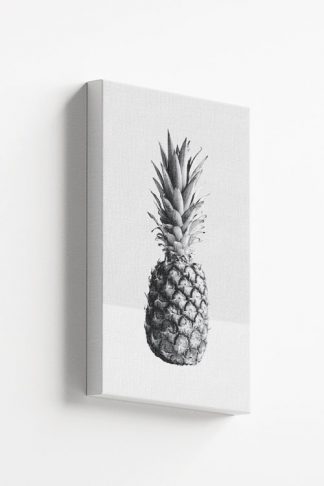 Pineapple canvas