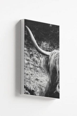 Highland Cow Black and White Canvas