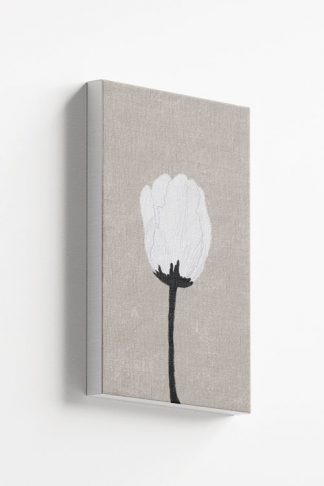Illustration of a white flower canvas