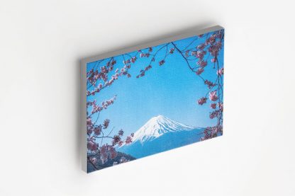 Oishi Park Mount Fuji Japan Canvas