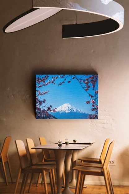 Oishi Park Mount Fuji Japan Canvas