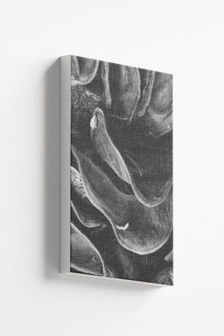 Grayscale clam canvas