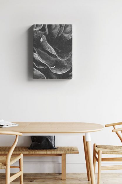 Grayscale clam canvas