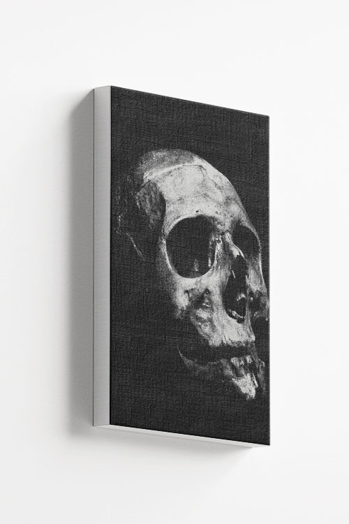Textured dark skull Canvas