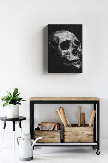 Textured dark skull Canvas