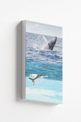 Killer Whale canvas