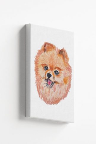 Stylized Pom Canvas