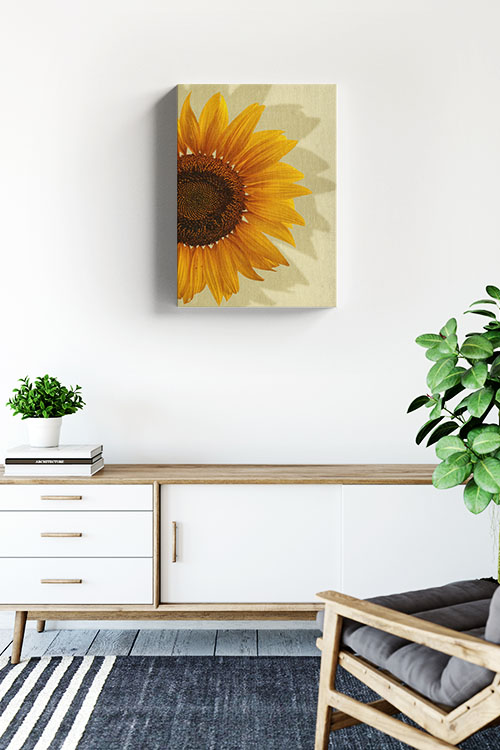 Sunflower in yellow background canvas