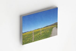 Yellow flower field canvas