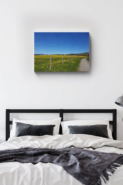 Yellow flower field canvas