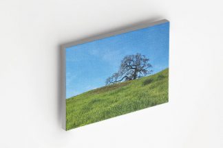 Green grass of hope canvas