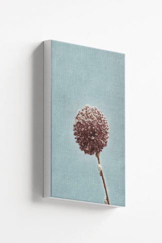 Flower in pale blue background canvas