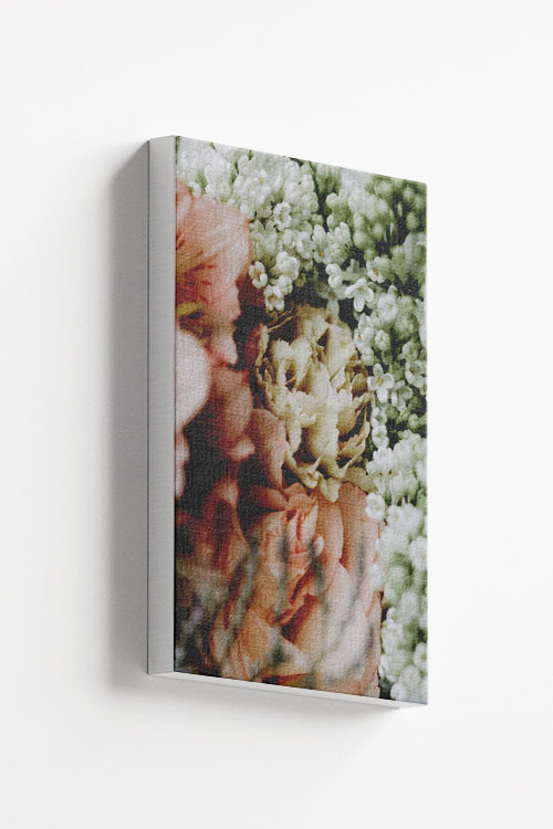 Jasmine photography canvas canvas