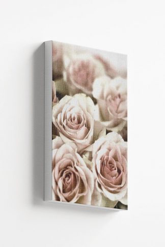 Bunch of pinkish roses canvas