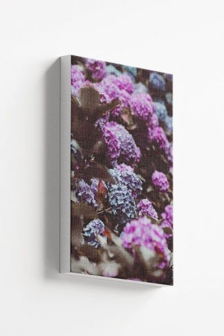 Butterfly bush canvas