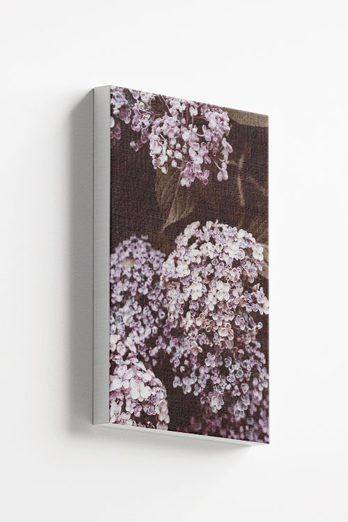 Alyssum canvas - Artdesign