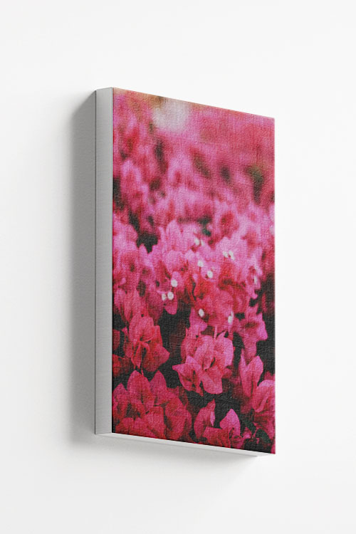 Pink Flowers canvas