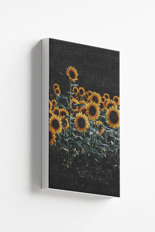 Bunch of sunflowers canvas