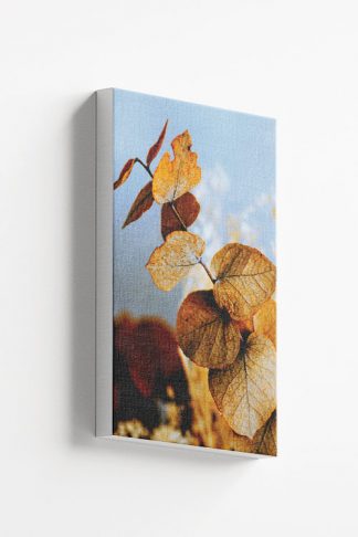Autumn plant Canvas