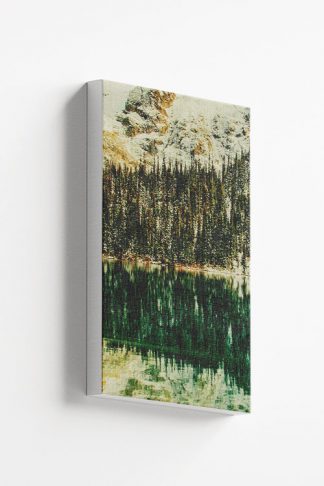 Pine tree forest reflected Canvas
