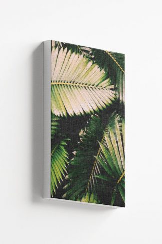 Aesthetic rainforest leaves Canvas