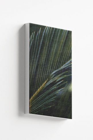 Fresh Palm leaves Canvas