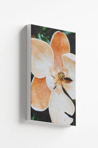 Magnolias Canvas