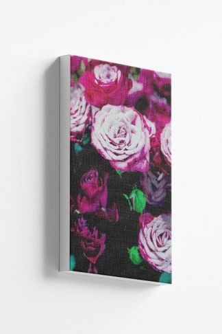 Dark roses Canvas