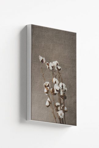 Cotton plant in grunge background canvas