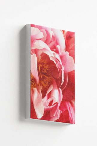 Beautiful vibrant pink flower Canvas