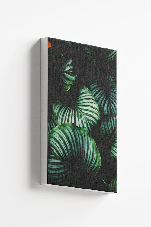 Bright green leaves Canvas