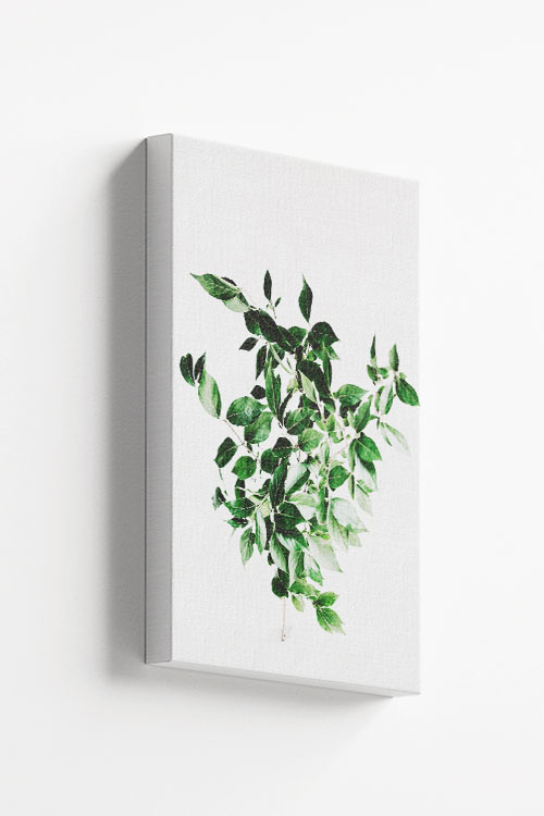 Greenery plant Canvas