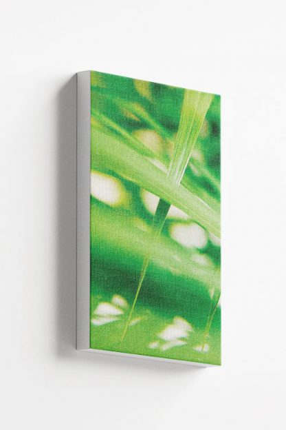 Sedges close shot Canvas