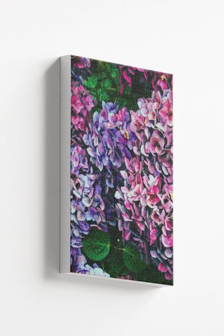 Lovely hydrangea Canvas
