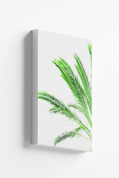 Vibrant thin palm leaves Canvas