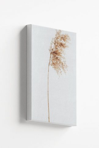 Dried sedges Canvas