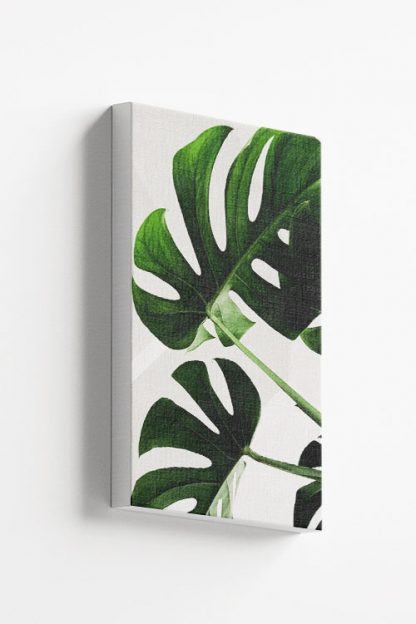 Tropical leaves in white background Canvas