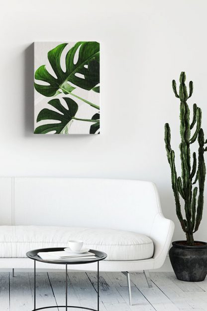 Tropical leaves in white background Canvas