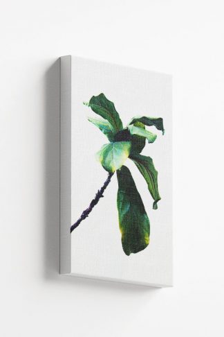 Single Vibrant plant Canvas