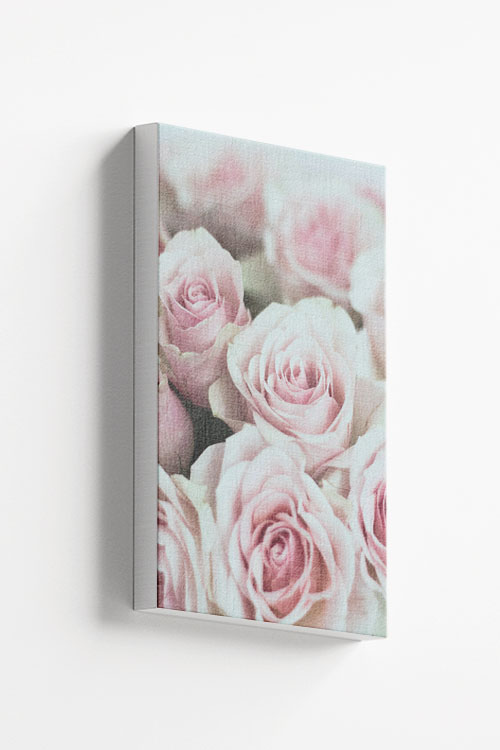 Roses pink canvas