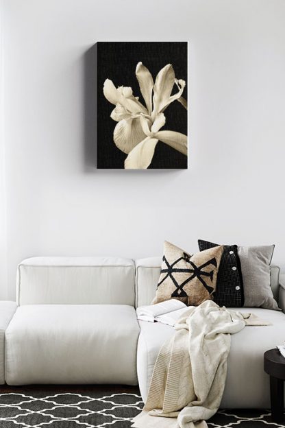 Irises canvas