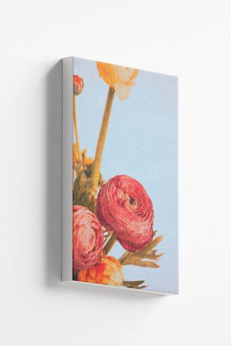 Persian buttercup canvas