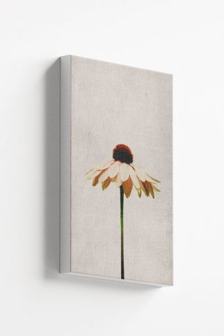 Single flower in gray background canvas