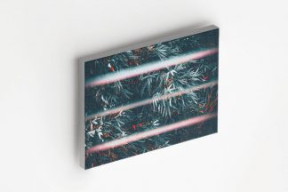 Flaming Tree canvas