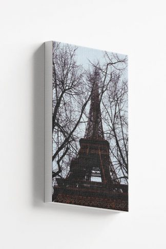 Twigs and eiffel tower canvas